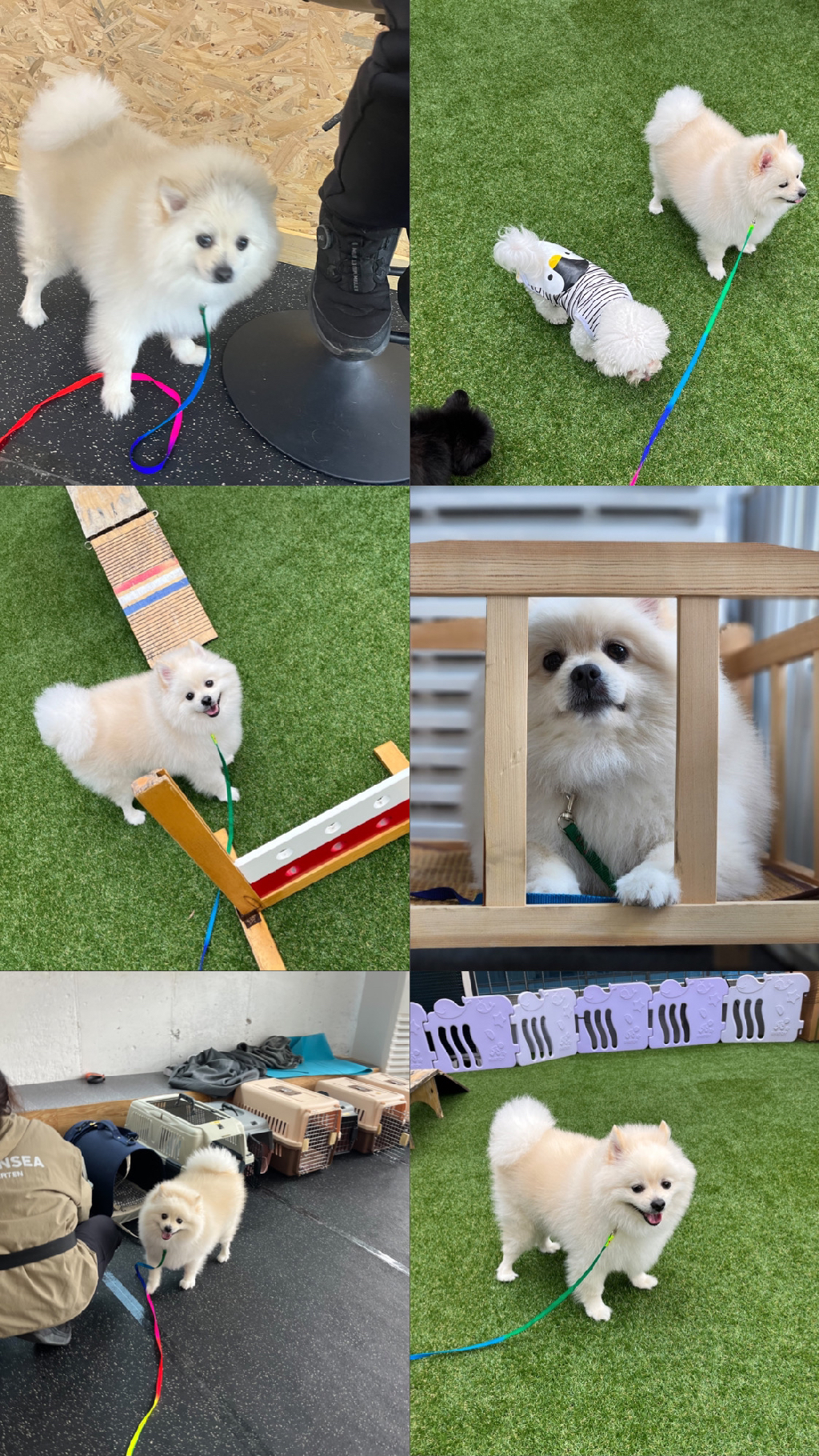 팔로우픽 - followPick | #daily #일상 #두식이