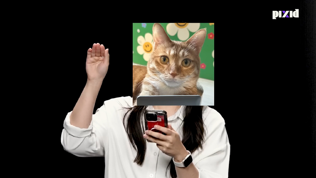 팔로우픽 - followPick | [BTS 뷔 출연 콘텐츠] pixid ‘냥집사 사이 멍집사 찾기’에 등장했던 호야입니다