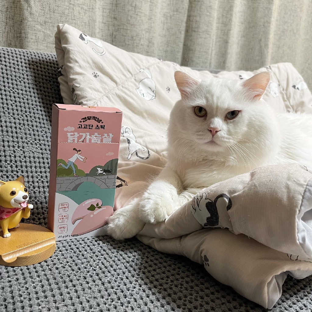 팔로우픽 - followPick | 고양이 제품 협찬 광고 모두 가능합니다!