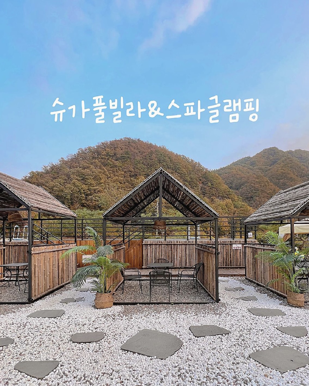 팔로우픽 - followPick 