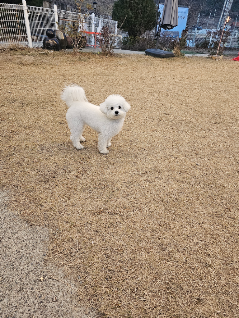 팔로우픽 - followPick 