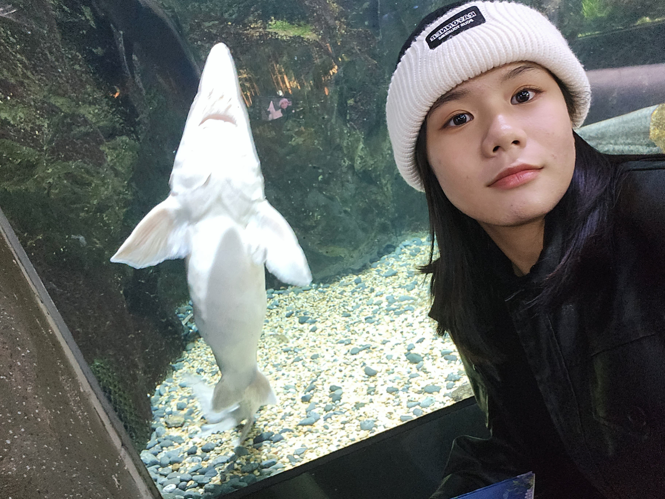 팔로우픽 - followPick 