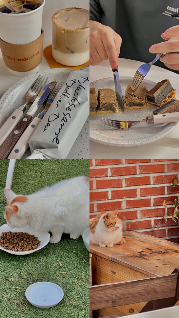 팔로우픽 - followPick | 카페,맛집 그 공간을 가고싶게끔 사진 찍어드립니다