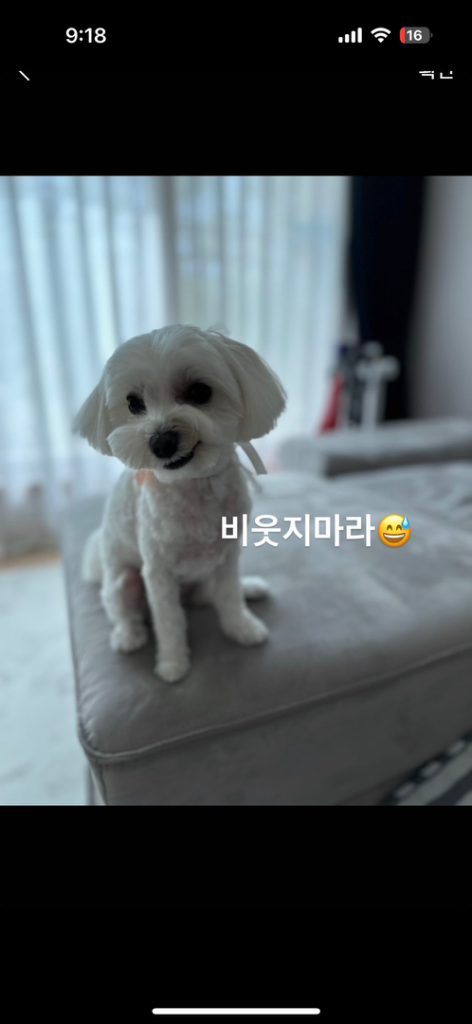 팔로우픽 - followPick 