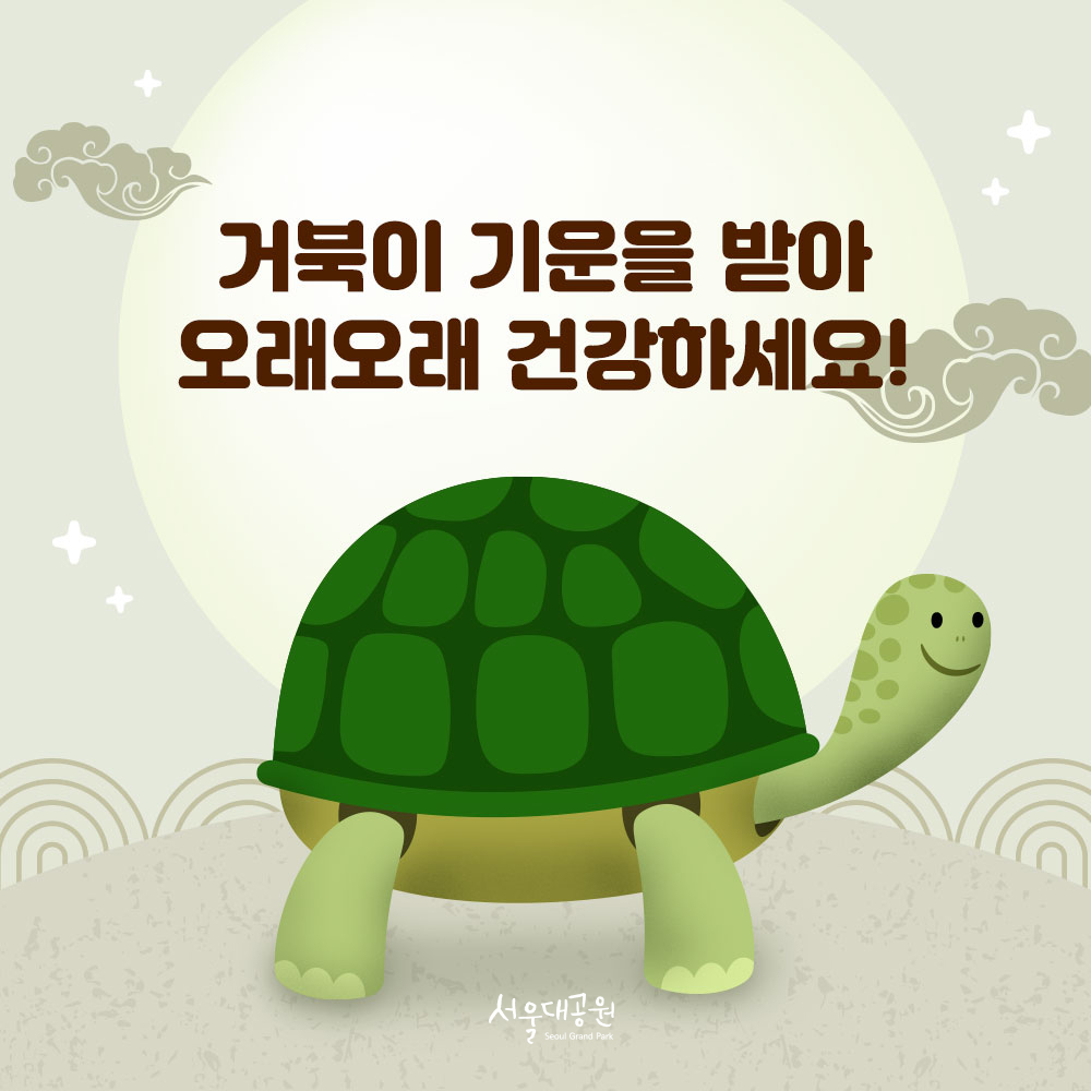 팔로우픽 - followPick | 돈가스집