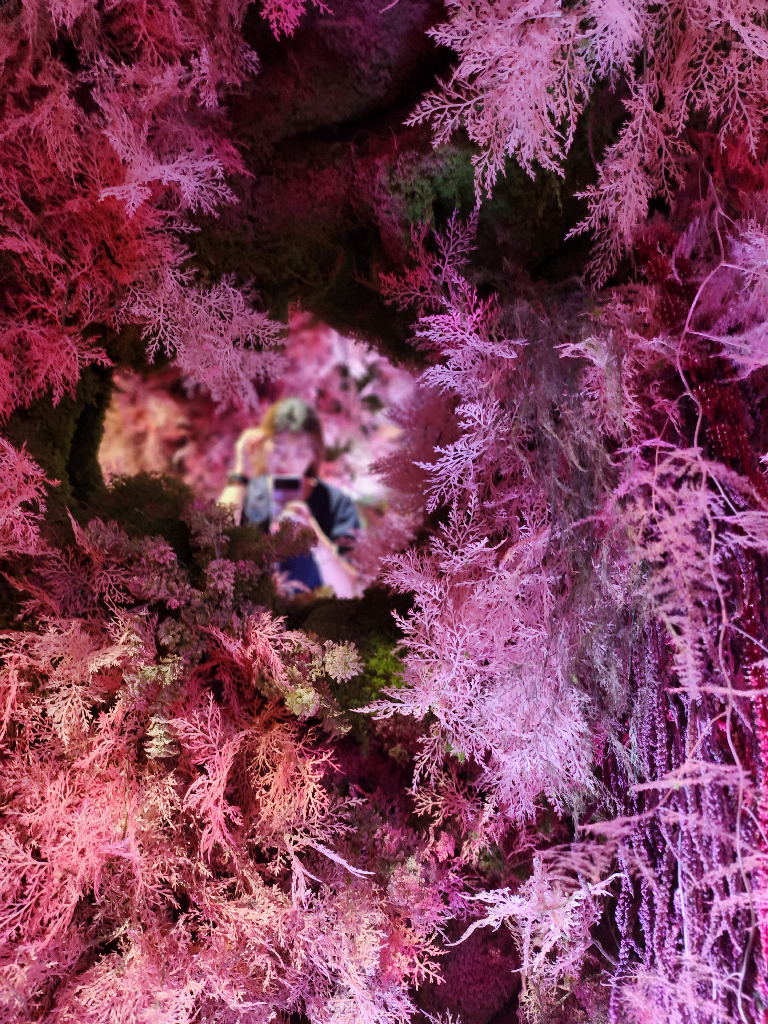 팔로우픽 - followPick | 협찬리뷰  다합니다