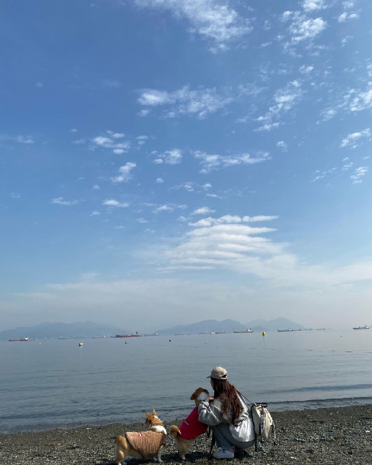 팔로우픽 - followPick | 강아지와 함께할수있는 카페식당숙소 협찬받아용