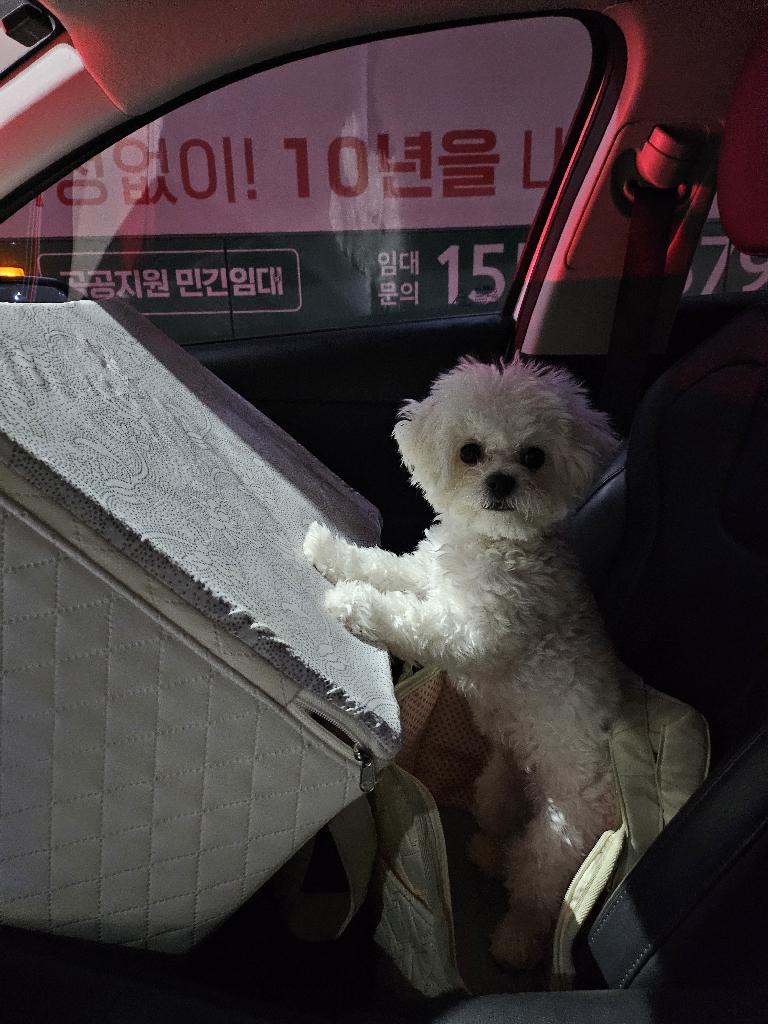 팔로우픽 - followPick 