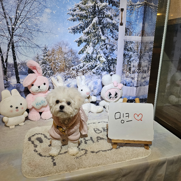 팔로우픽 - followPick 