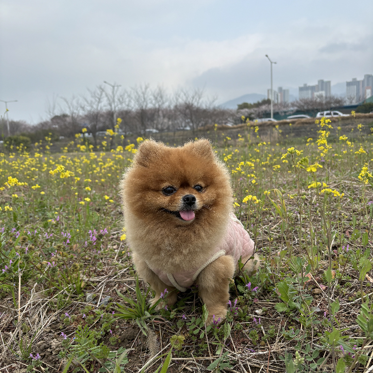 팔로우픽 - followPick | 부산 맛집 리뷰