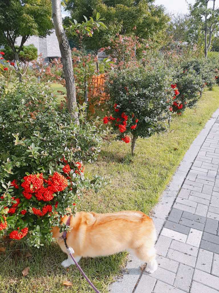 팔로우픽 - followPick 