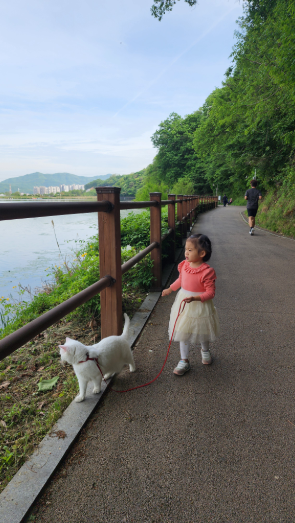 팔로우픽 - followPick 