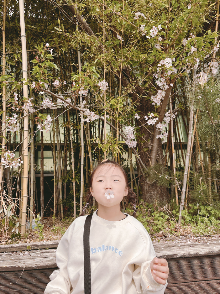 팔로우픽 - followPick 