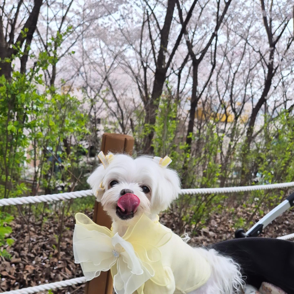 팔로우픽 - followPick 