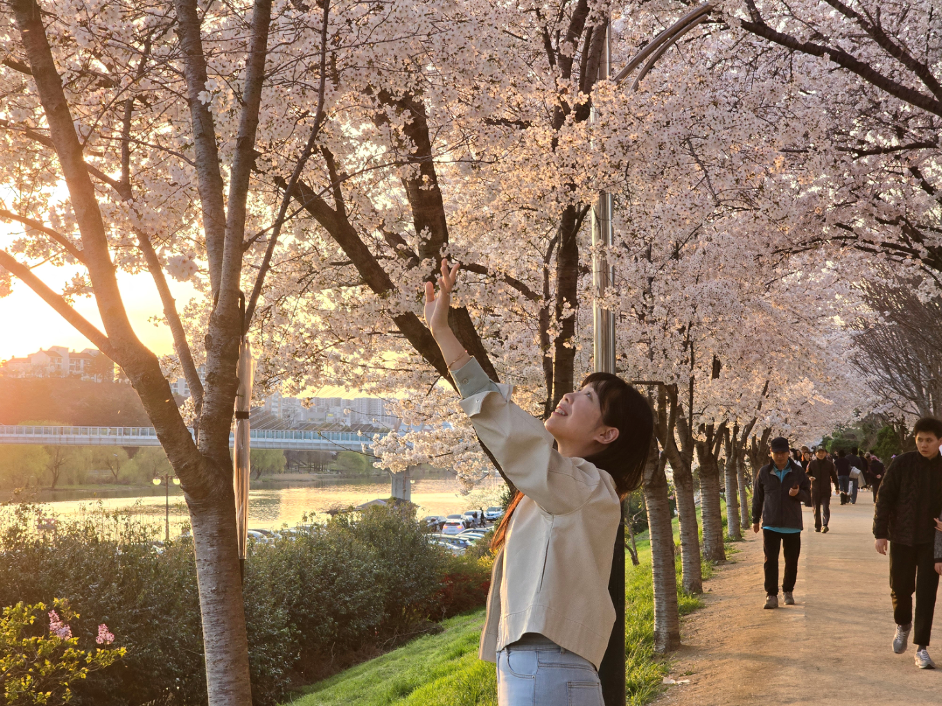 팔로우픽 - followPick 