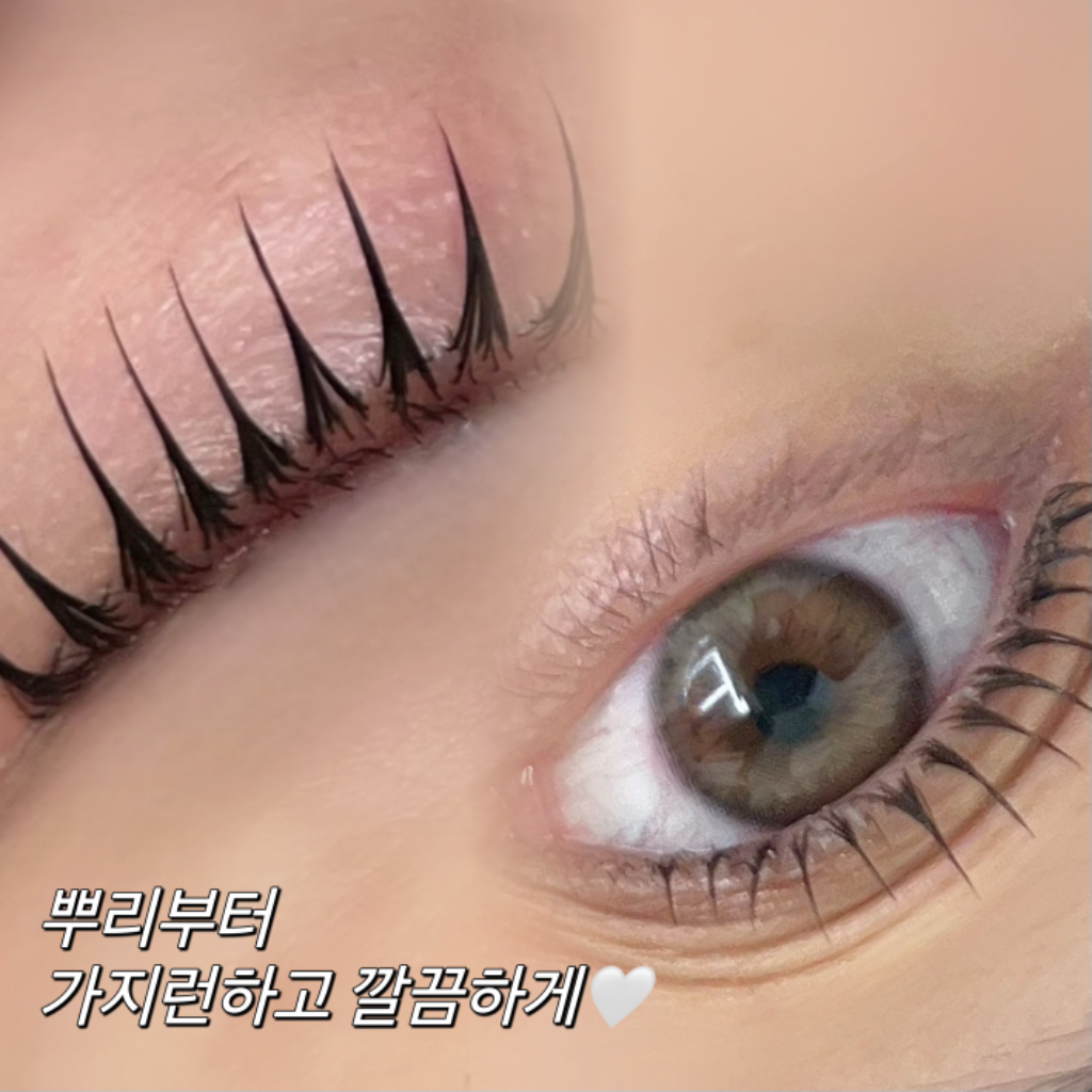 팔로우픽 - followPick | 수분팡팡 영양속눈썹펌