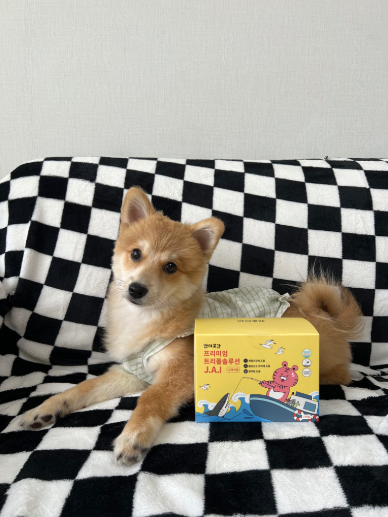 팔로우픽 - followPick 