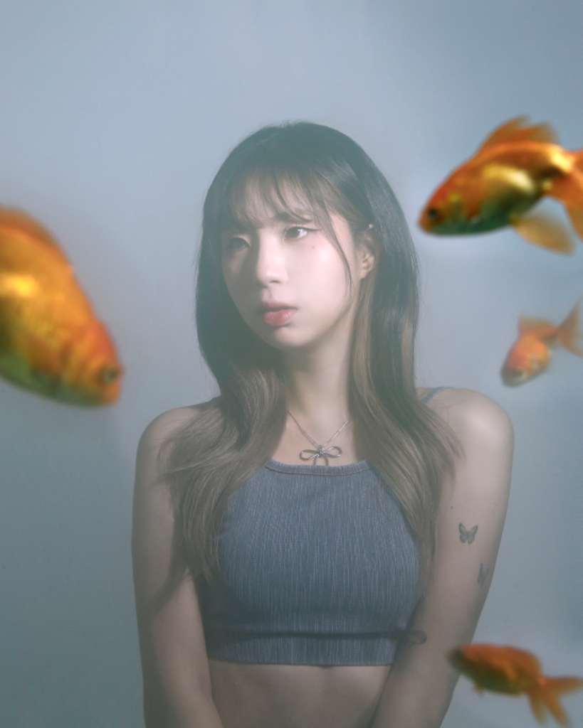 팔로우픽 - followPick 
