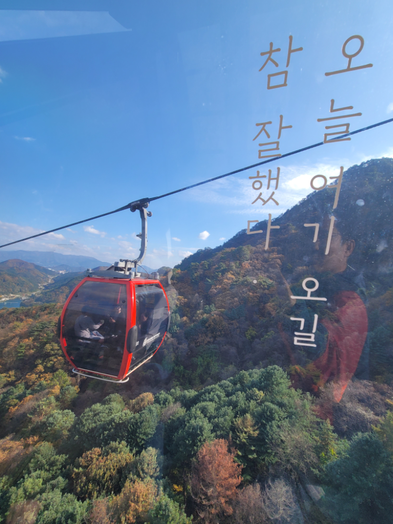 팔로우픽 - followPick | 잘 먹고 좋은 리뷰