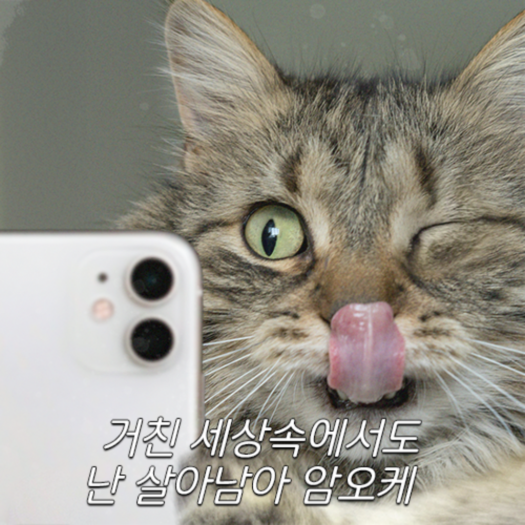 팔로우픽 - followPick | 협찬받고싶습니다