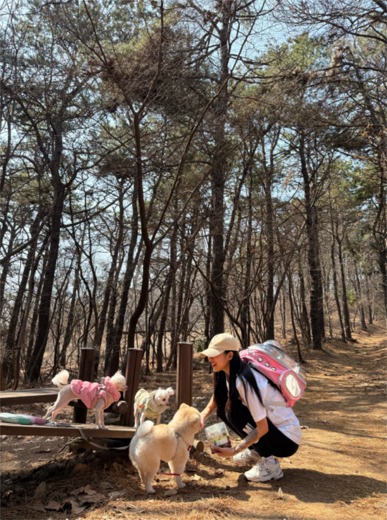 팔로우픽 - followPick | 반려동물 협찬 환영해요 :)