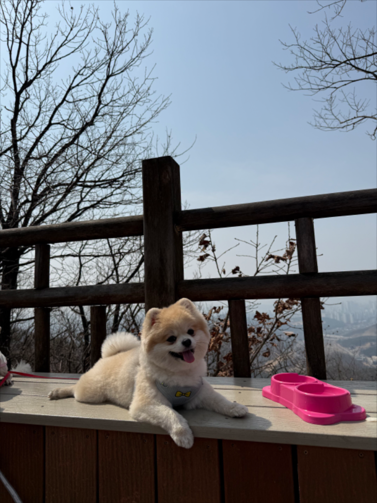 팔로우픽 - followPick 
