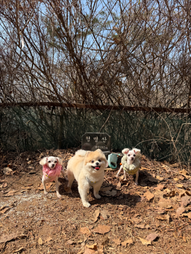 팔로우픽 - followPick 