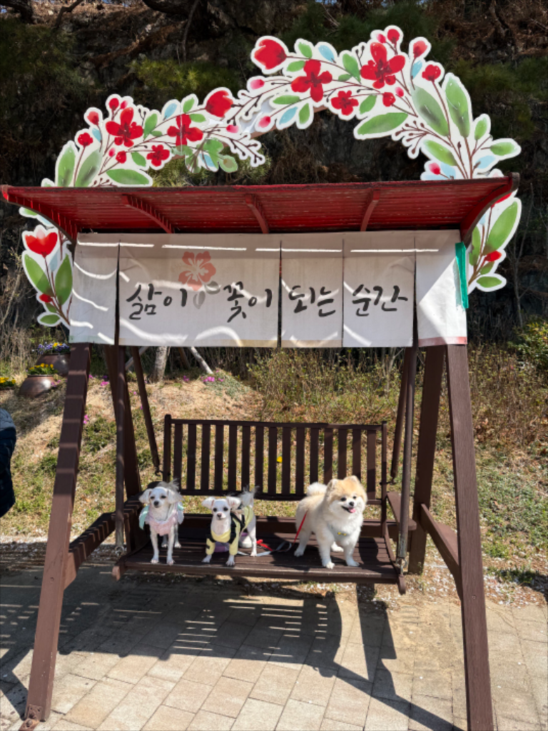 팔로우픽 - followPick 