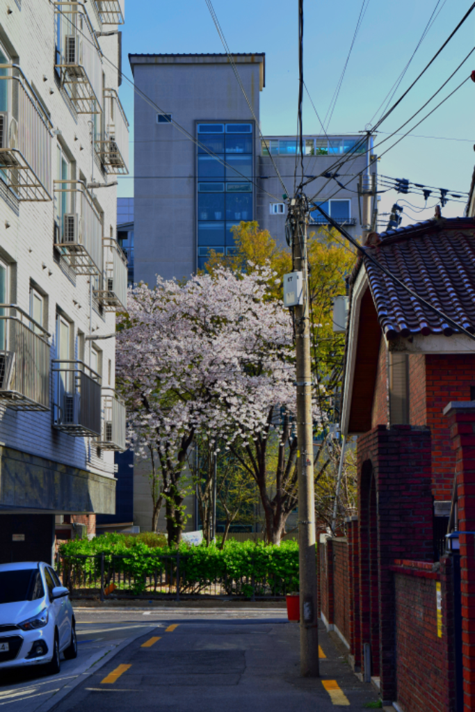 팔로우픽 - followPick 