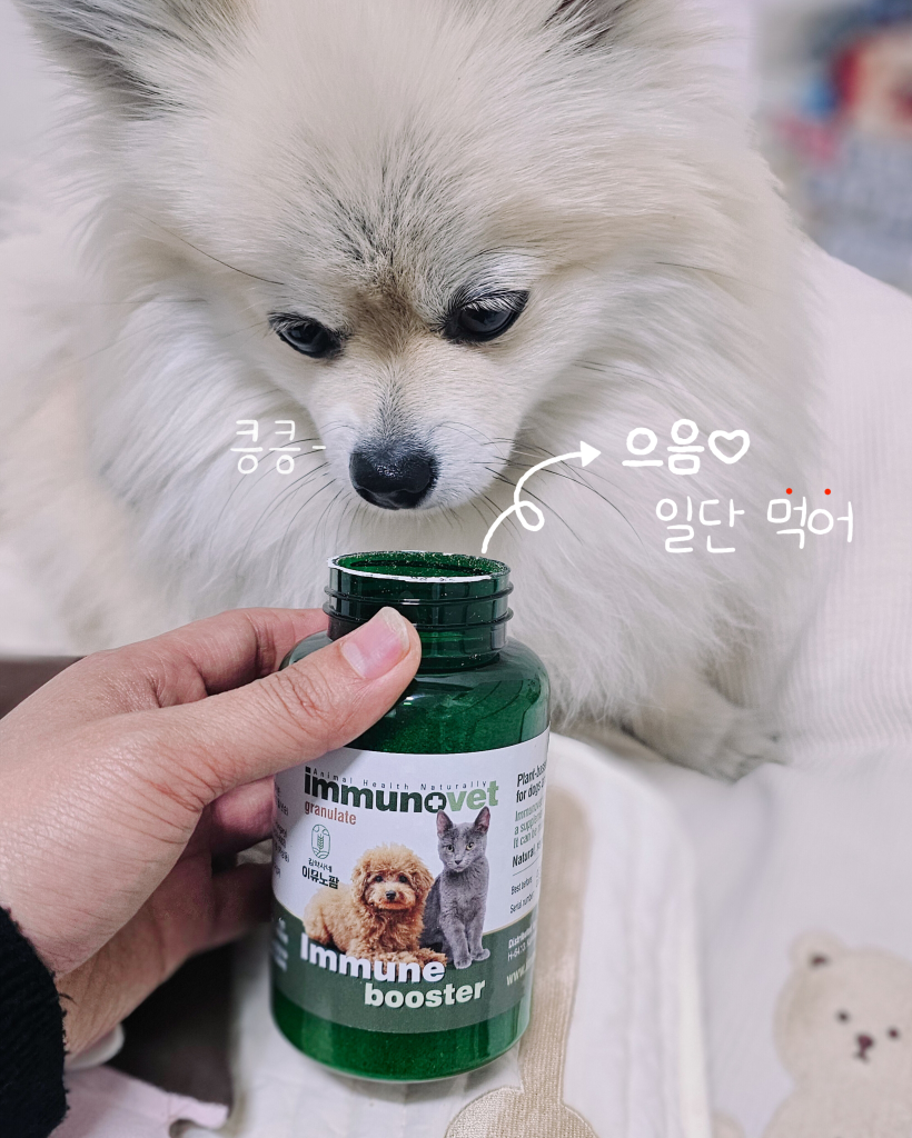 팔로우픽 - followPick 