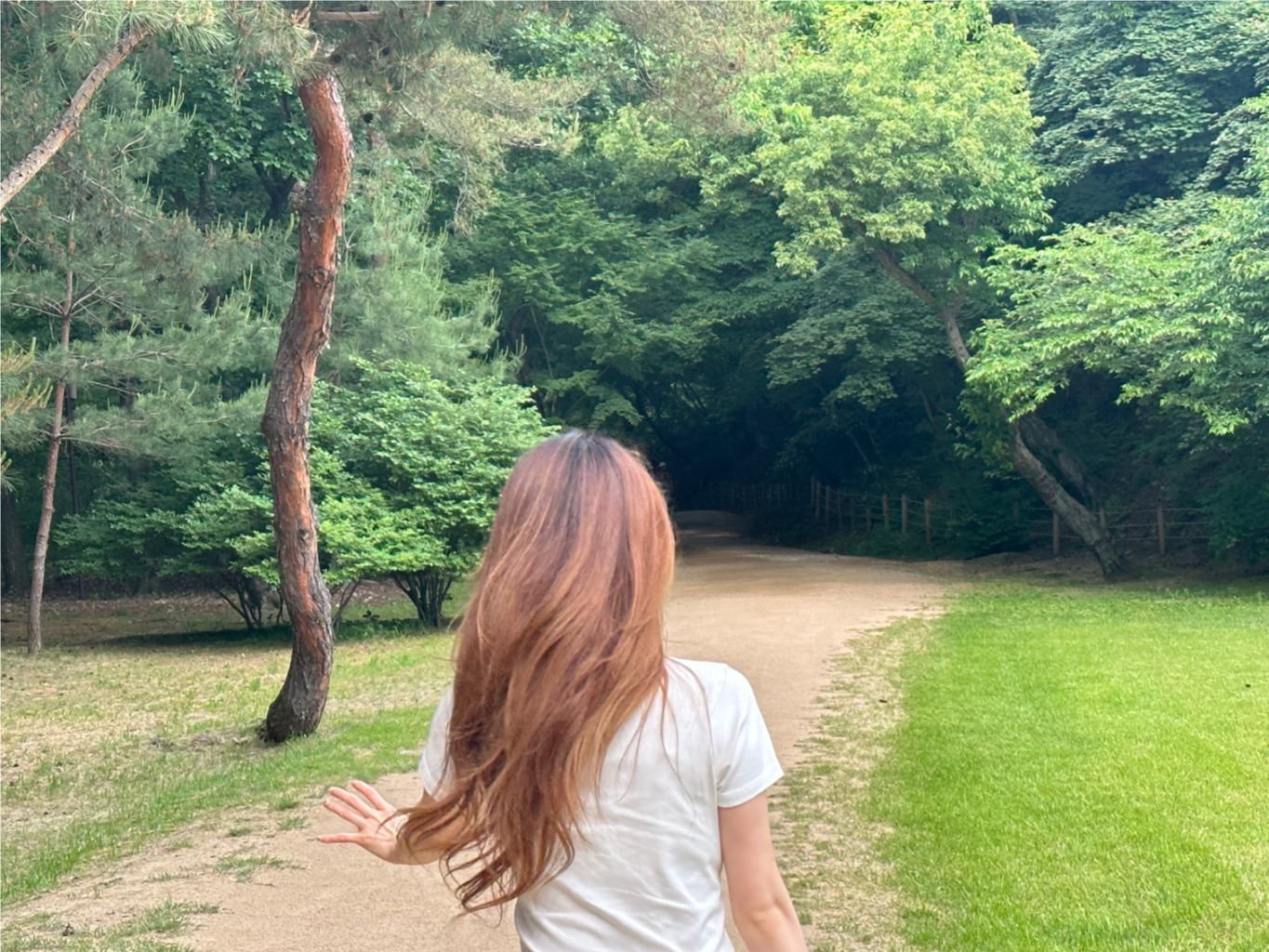 팔로우픽 - followPick | 카페/뷰티/맛집 등