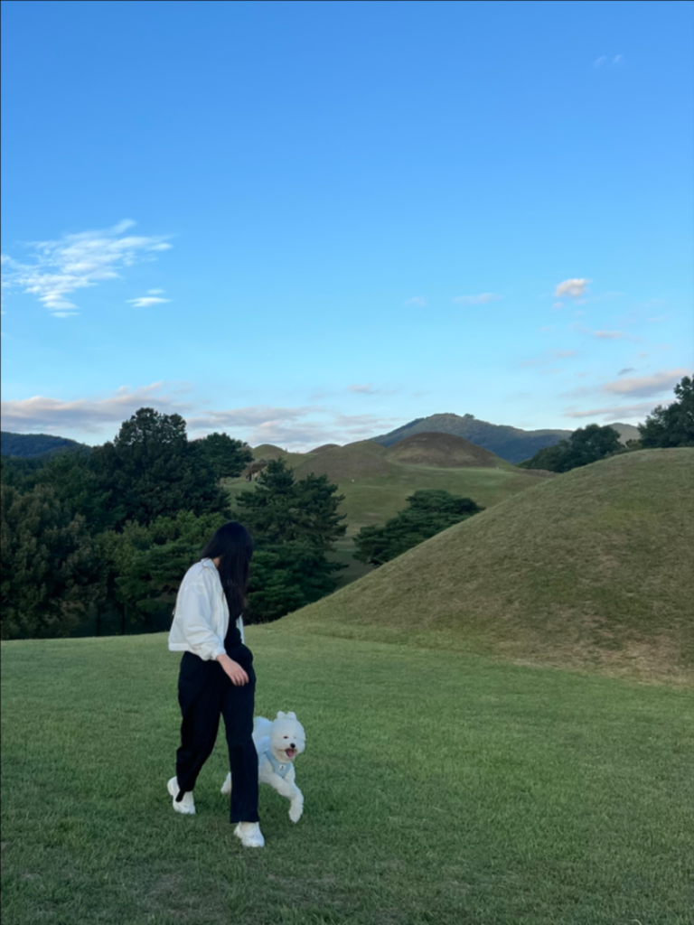 팔로우픽 - followPick 