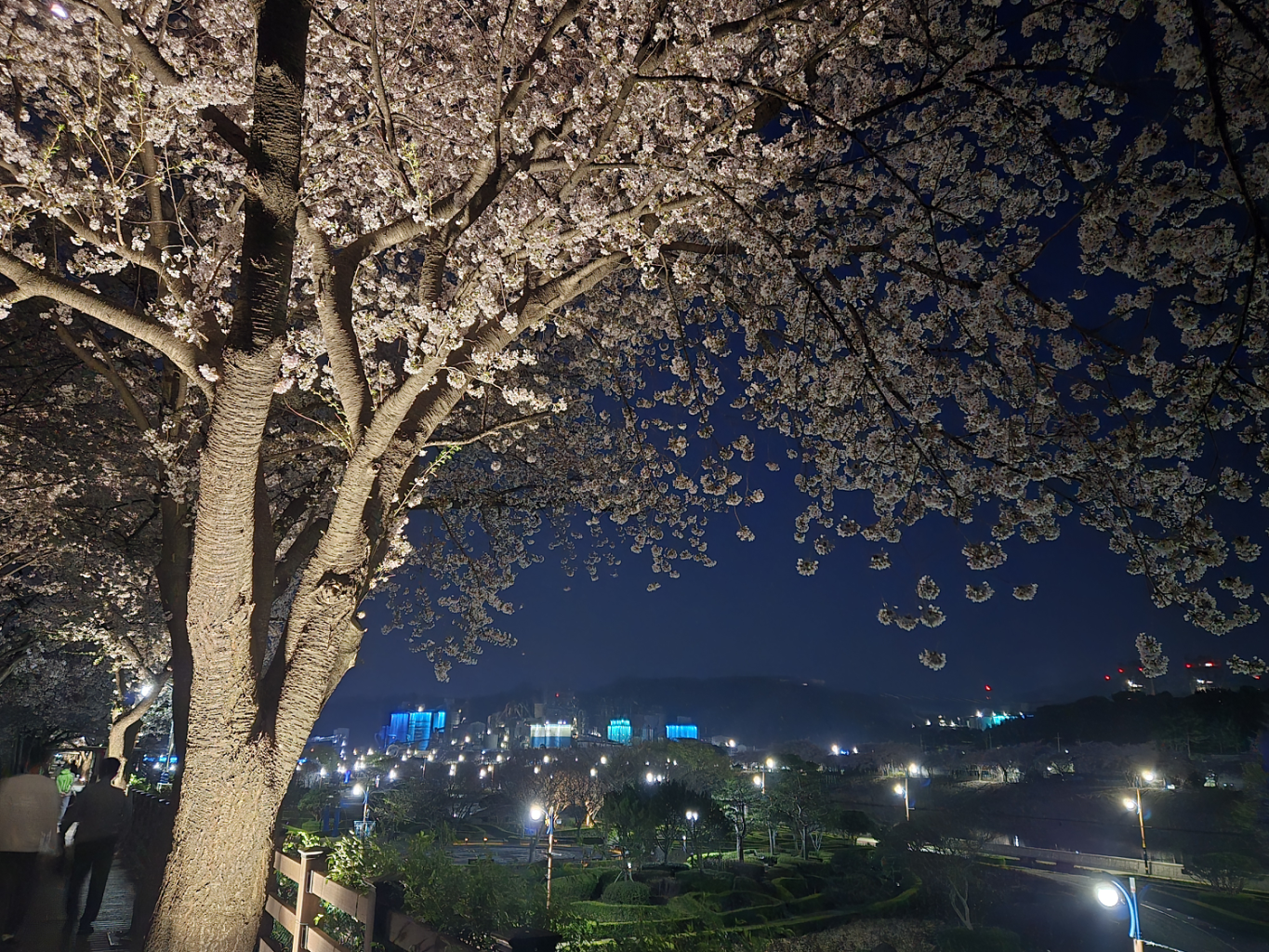 팔로우픽 - followPick 